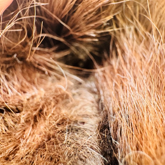 MOHAIR ARTIST BEAR by KIMBERLY’S BEARIED TREASURE 12” Jointed MISSING AN EYE! - Picture 6 of 11